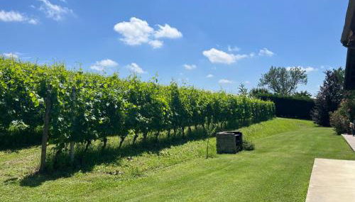 Vigne dei Mastri - Foto 5