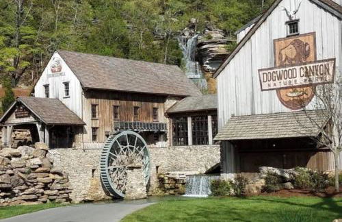 Splash and Stay at Kimberling Crossing - Foto 4