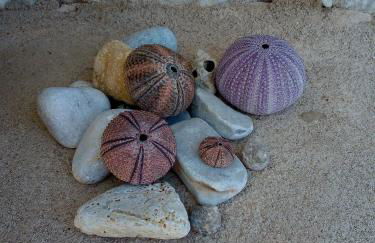 Amphitrite's House - Foto 5