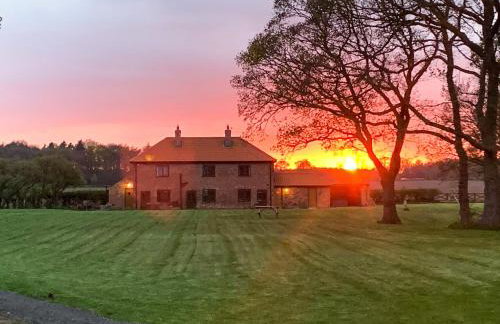 Cowslip - Uk13138 - Foto 16