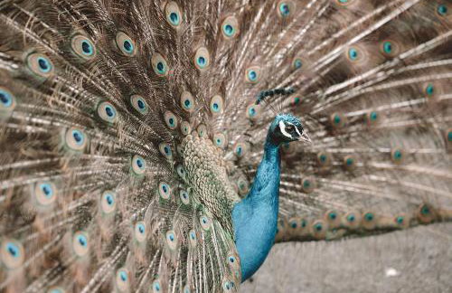 Yar Tor Apartment - Foto 7