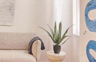 La Linda Little Apartments - Foto 7