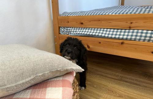 Casa Julián - Foto 17