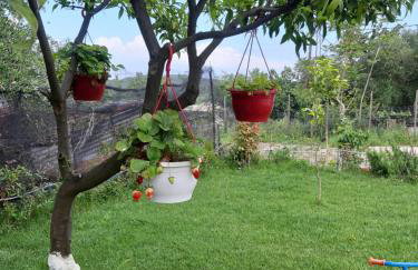 Villa Rosa - Foto 10