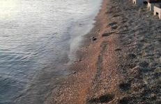 AFISSOS-DREAM 3STUDIOS - Photo 31