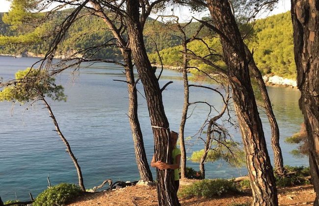 Maison De Ville A Skopelos - Photo 12