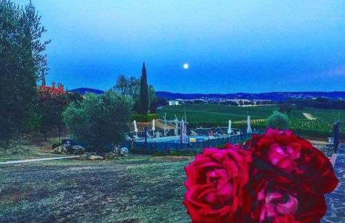 Agriturismo Diaccialone - Foto 17