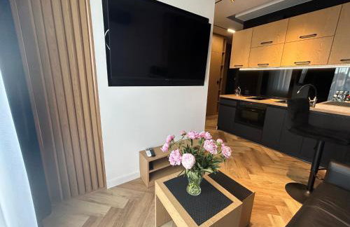 Business Apartment Płock - Foto 5