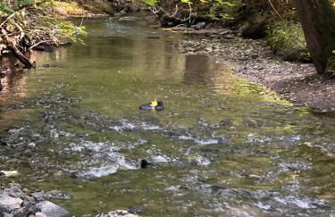 Kleine Auszeit - Raum für Ruhe und neue Energie - Foto 16