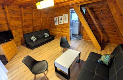 VIVA SOLE nr 2 Ośrodek Wypoczynkowy Skorzęcin - Foto 3