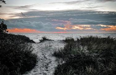 Paradiso Rusinowo - Foto 30