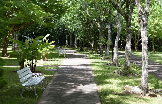 Biazi Paradise Hotel - Photo 50