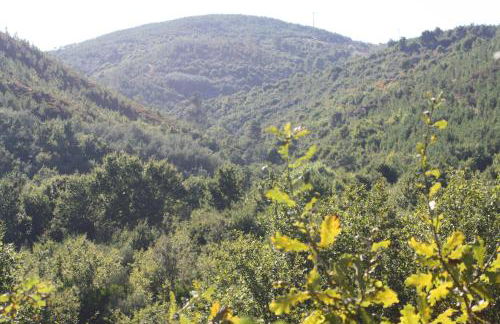 Retiro Da Arminda - Foto 35