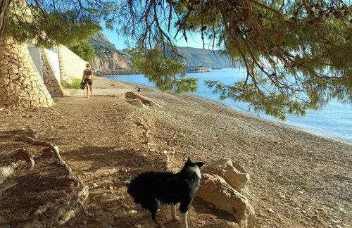 Altea Flying Whale - Photo 21