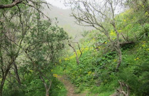 Villa Deluxe Suites Maspalomas - Photo 74