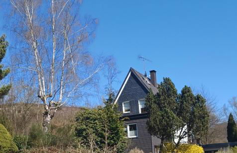 Ferienhaus Fuchs&Hase - Foto 37