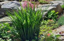 Ferienhaus Sinneswandel - Foto 27