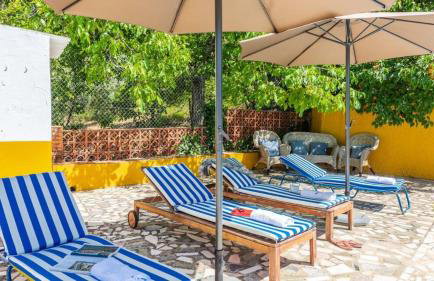 El Masegal - Photo 8