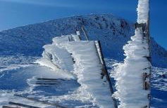 Maison typique des monts du Cantal - Photo 17