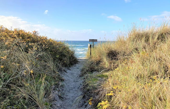 "Osa" - 150m from the sea - Foto 38