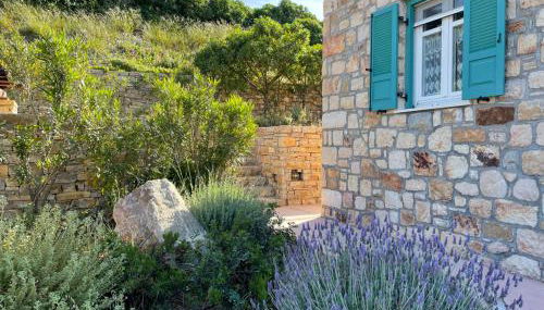 Petra - Foto 4, Garden