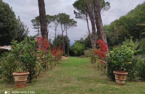 Villa La Ginestra - Charming Country Home - Foto 90