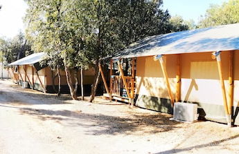 GlampatCamp - Foto 40