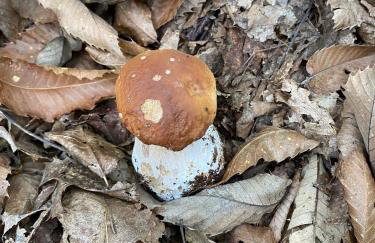 Appartamento Il Giardino - Foto 42