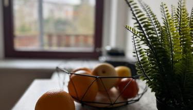 4 sleep Apartments KARL - Foto 5