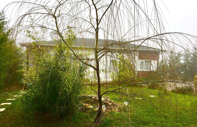 Villa Gudca - Foto 28