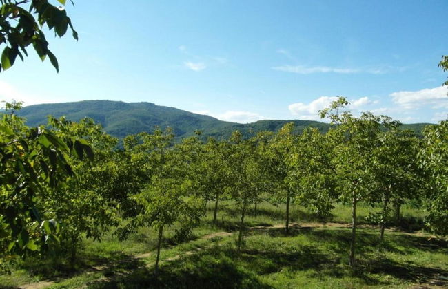 Holiday Home in Citerna Near Castello Bufalini - Foto 30