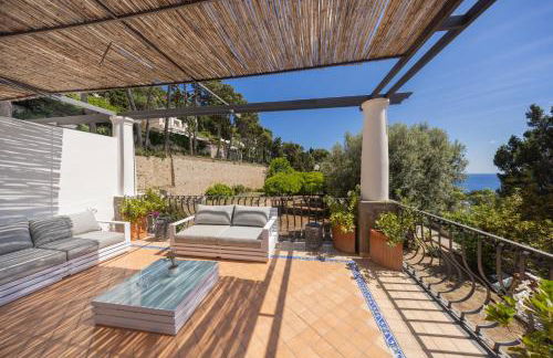 Oliveto Capri apartments - Foto 30