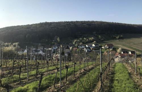 Holiday apartment Südpfalz Quartier 42 - DRIWWE - Foto 16