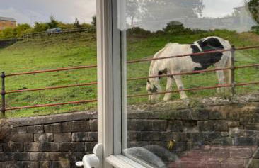 Ebor Mill's Cottage - Foto 19