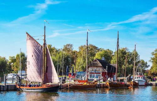 Sonnenblume in der Seefahrtschule - Foto 16