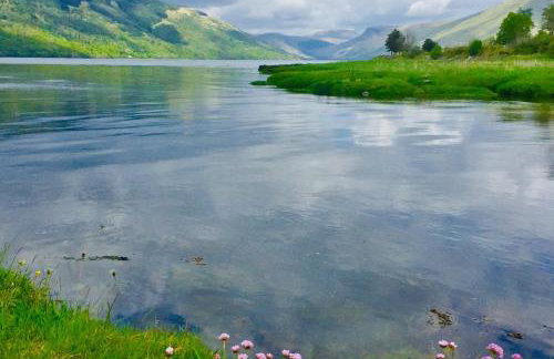 Seal Cove Cabin - Luxury Glamping - Foto 32