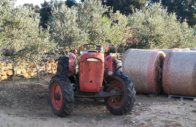 AgriturCostabaira - Foto 14