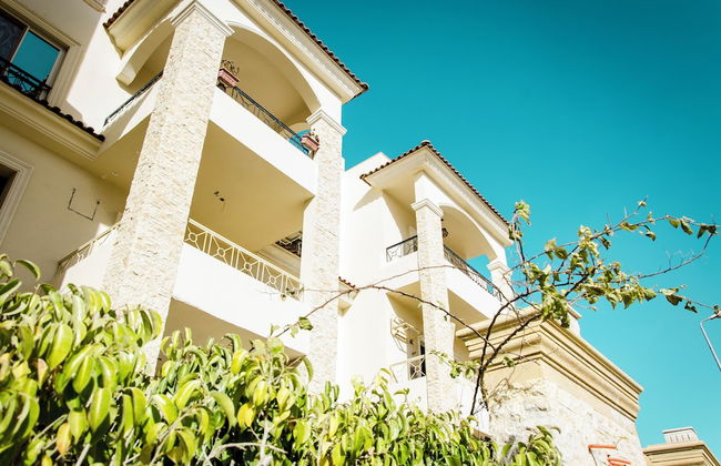 Violet 133 - Foto 21