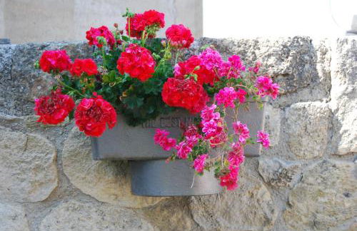 Olive Villas - Photo 59