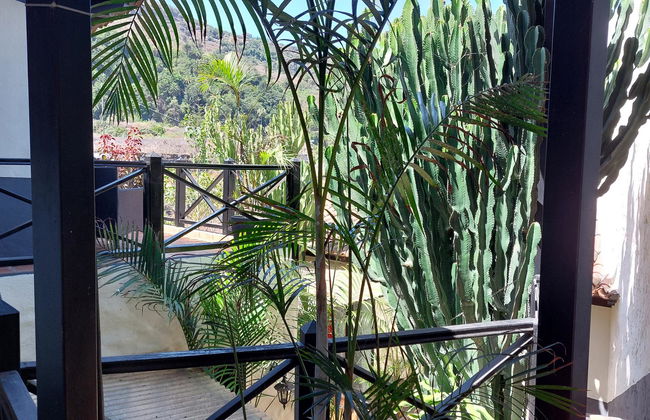 Apartamentos Monasterio de San Antonio - adults only - Photo 34