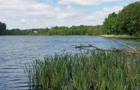 Agroturystyka Szafarnia 19 - Foto 42