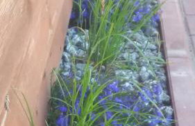 Diament Rogowo - Foto 24