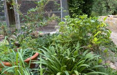 Cécile - Mas de Rousseau - Foto 14