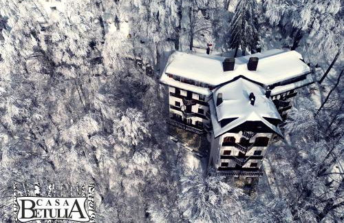 Le Case Nel Bosco Terminillo - Foto 1