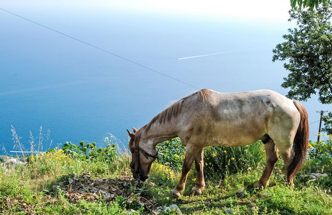 Dea Afrodite - Foto 18