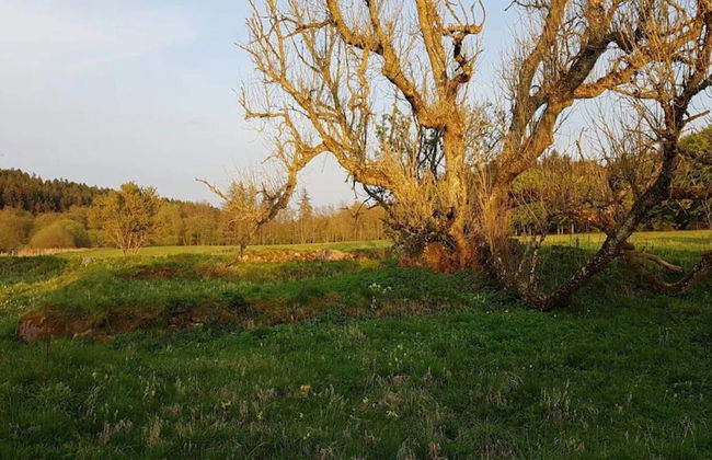 4 Person Holiday Home in Ans By - Foto 11