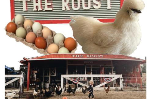 Cabin 3 The Roost Cabins - Foto 9