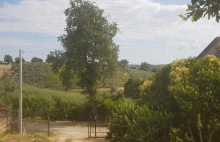 Casa sull'Albero Treehouse Costa dei Trabocchi - Foto 7