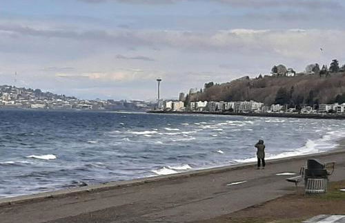 Alki Beach Cottage, NEW, 2 bedrooms, 2 bathrooms, near beach, AC, WD, Parking - Foto 35