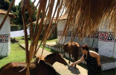 Pousada Marajoara- Hotel Fazenda-Turismo de Aventura - Photo 15